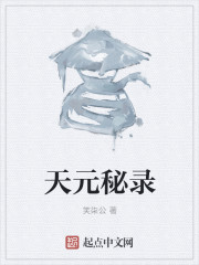 天元秘录
