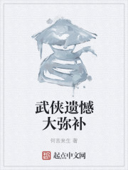 武侠遗憾大弥补