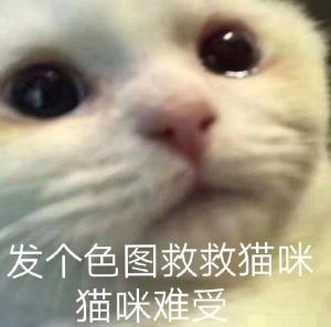 班长每天都在想屁吃