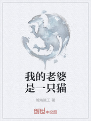 我的老婆是一只猫