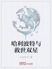 哈利波特与救世双星