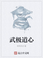 武极道心